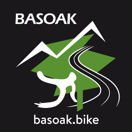 logo-Basoak