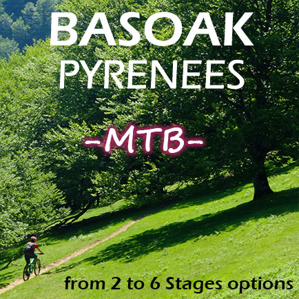 Basoak-MTB